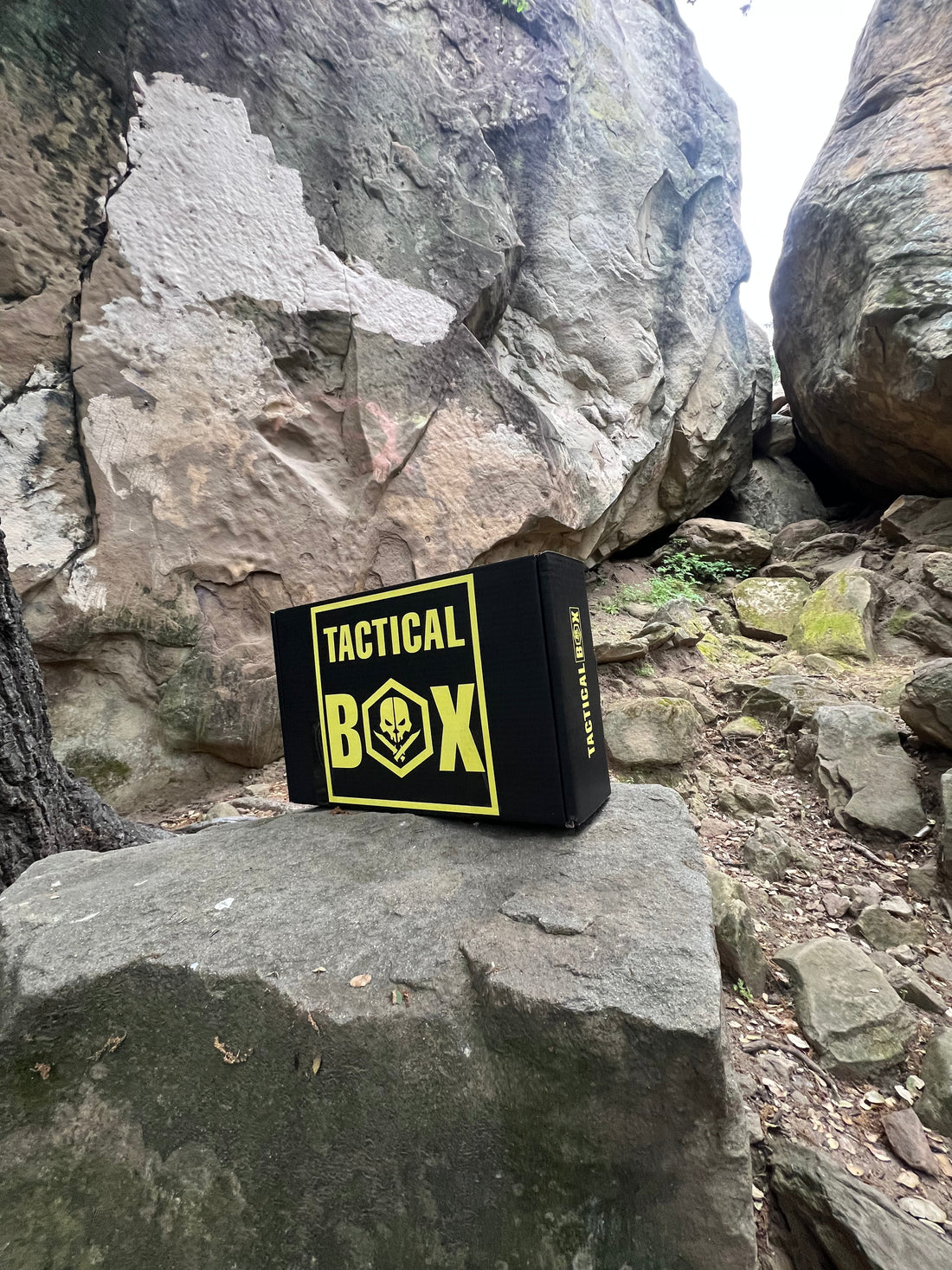 The June Drop Is Here..Can You Guess What’s Inside?